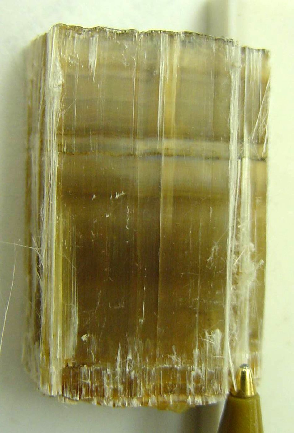 Weißasbest (Andrew Silver) Weißasbest (Andrew Silver)